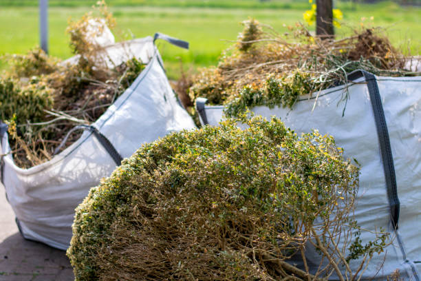 Best Local Junk Hauling  in Lahaina, HI